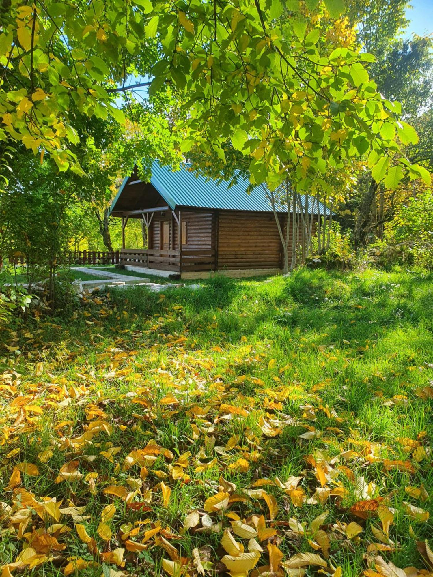 Cabin House Dubovik Cetinje Kültér fotó