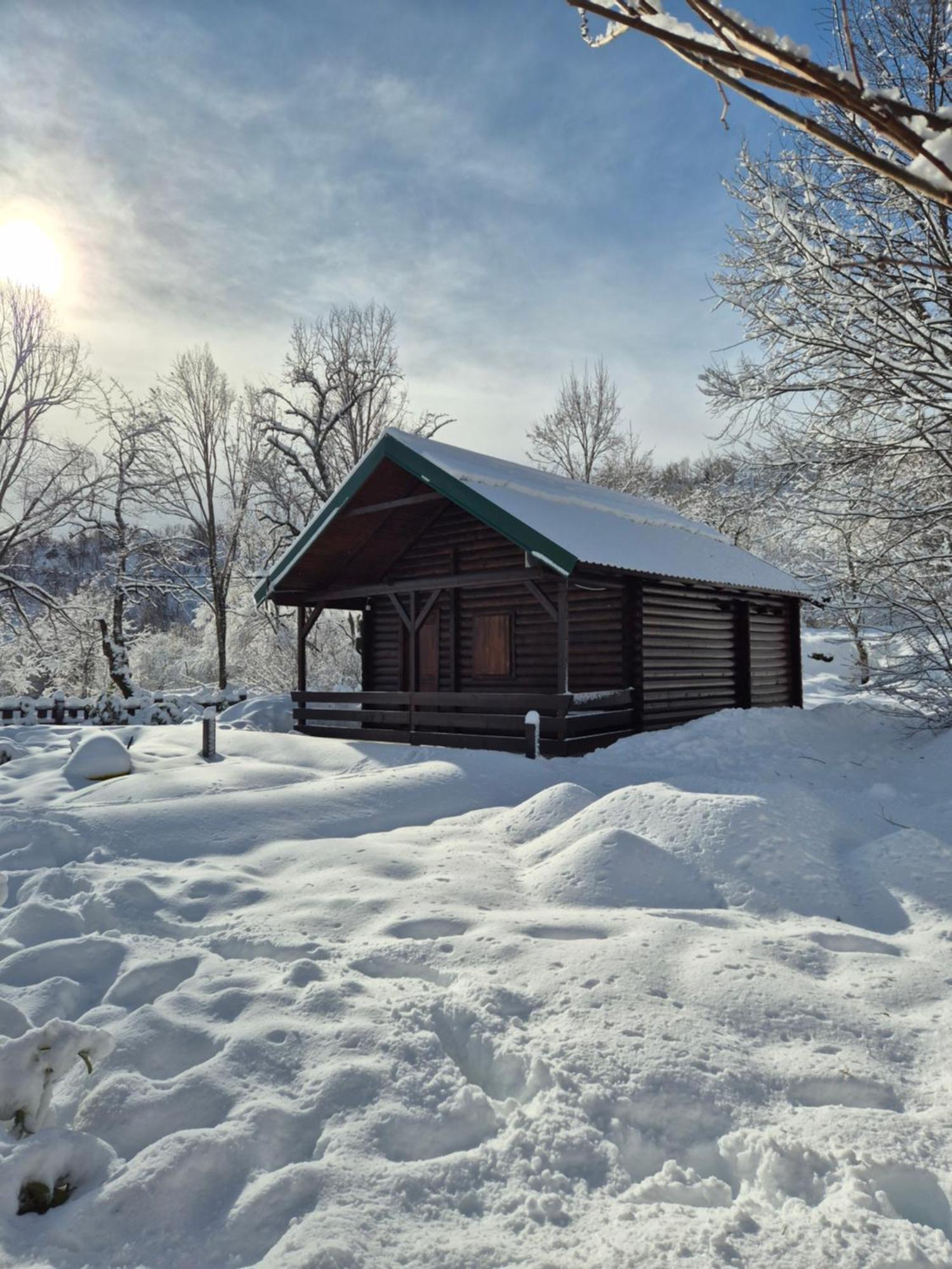 Cabin House Dubovik Cetinje Kültér fotó
