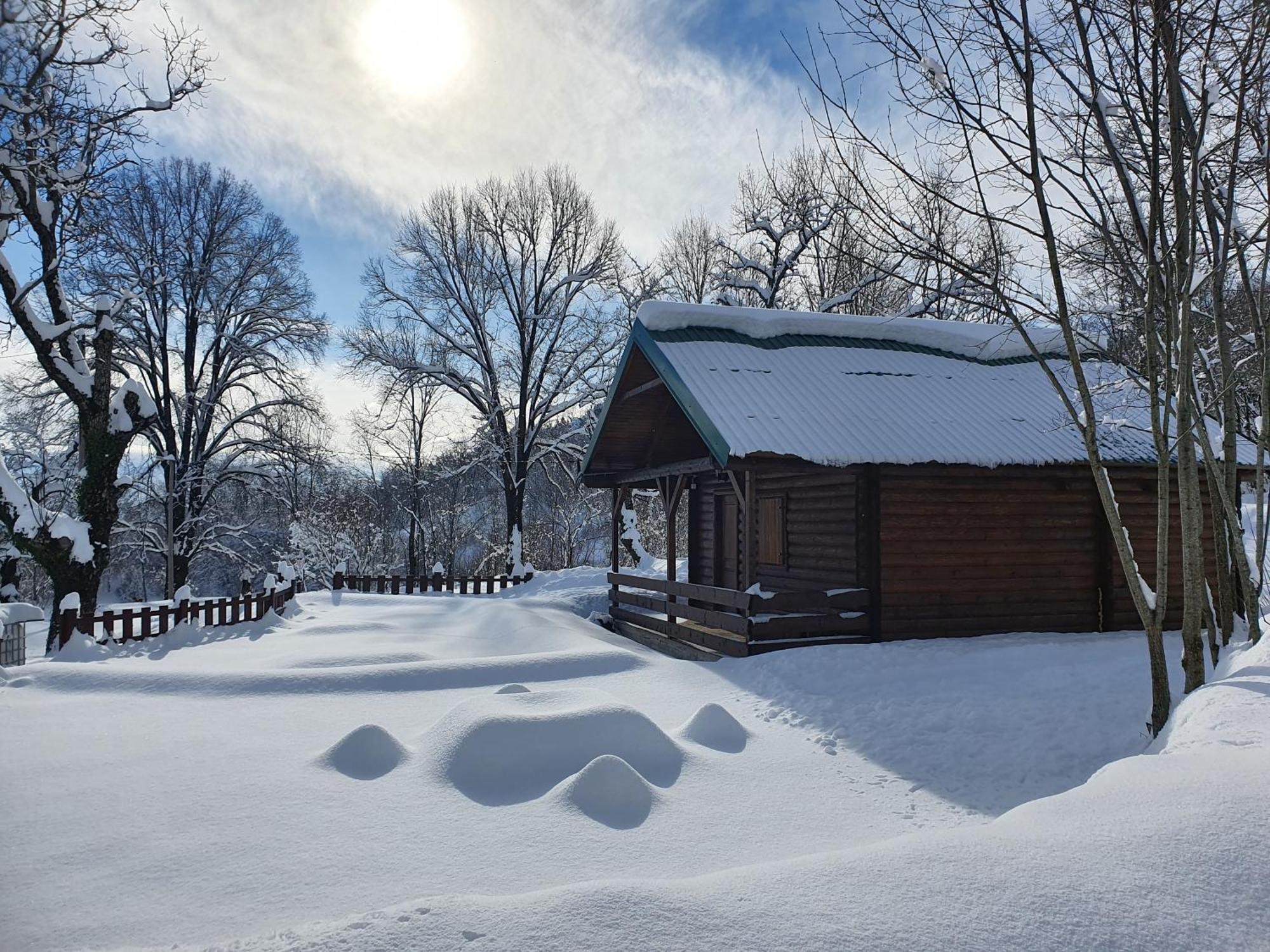 Cabin House Dubovik Cetinje Kültér fotó